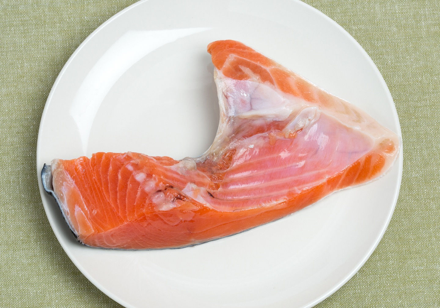 Scottish Salmon Collar 　スコティッシュサーモンカマ