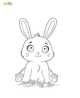 Bunny_2.jpg