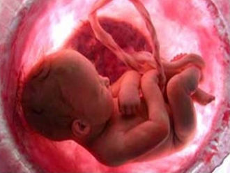 Comissão para Vida e a Família da CNBB mobiliza cristãos na luta contra a legalização do aborto