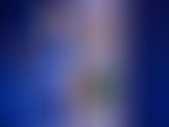 Al Gore: mundo ouça o Papa Francisco na defesa do meio ambiente