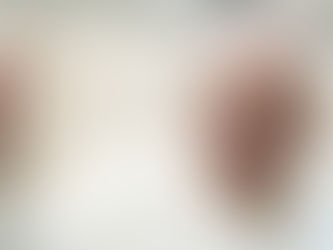 Dia Mundial da Paz: “A boa política está ao serviço da paz”