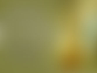 Hoje é celebrada Nossa Senhora de Lourdes