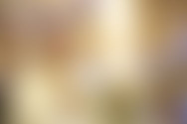 D.Walmor: No combate às barbáries