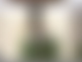 Papa: reconhecer-se pecador e rezar, os dois passos para conhecer Jesus