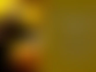 Hoje é celebrado São Francisco Xavier, o “São Paulo do Oriente”