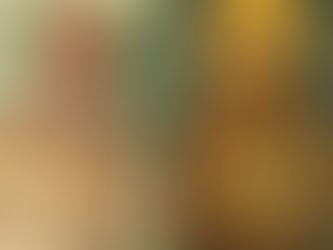 São Francisco de Assis: 12 fatos fascinantes que talvez você não conhecia