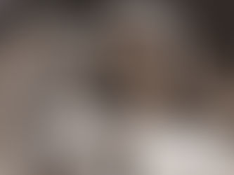 Reflexão: Solenidade da Imaculada Conceição