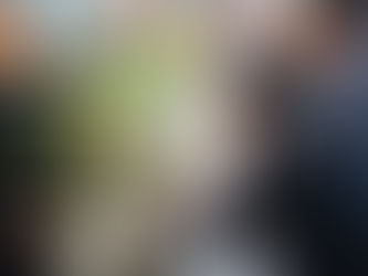 Papa Francisco: tratar o meio ambiente com ternura