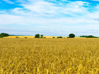 Santa Sé: mundo precisa de líderes políticos e sociais guiados pela ética