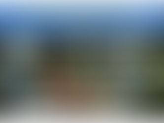 Missa de Assunção de Nossa Senhora