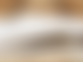 PUC Minas lança licenciatura a distância em Ciências da Religião