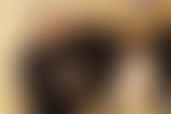 Vida entre diálogos