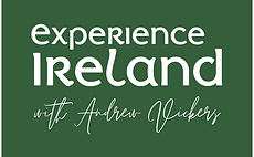 EXPERIENCE LOGO.png