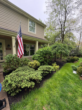 New shrub planting completed by Yard Chefs in Gibsonia