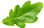 kllkkl.png