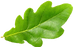kllkkl.png