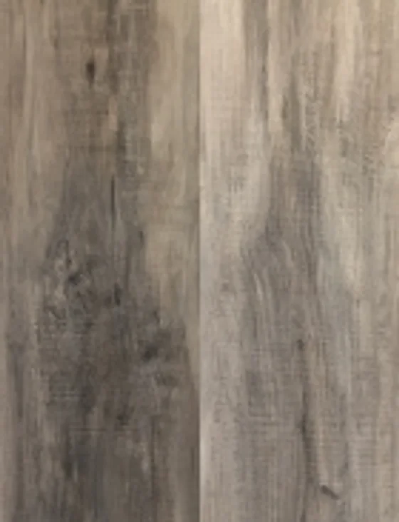 Trillium Collection Owl Distribution Inc