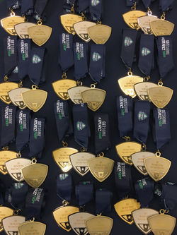 Aesthetically Satisfying