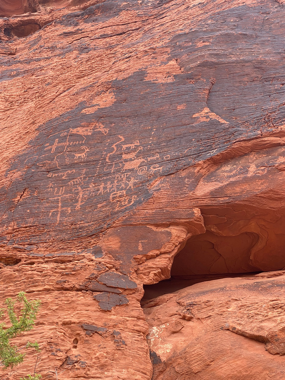 Valley of the Fire - Petroglyph