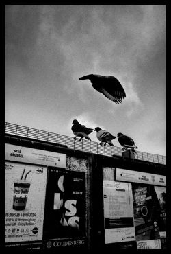 1-_J003094-Modifier-001 Def.jpg