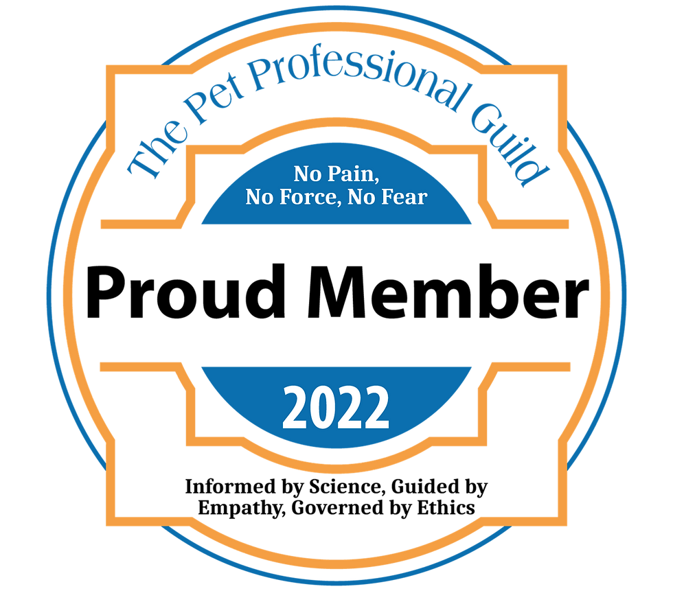 PPG Member Badge 2022