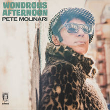 Album cover of "Wondrous Afternoon" by Pete Molinari, featuring a soulful blend of vintage pop and lush cinematic grooves.