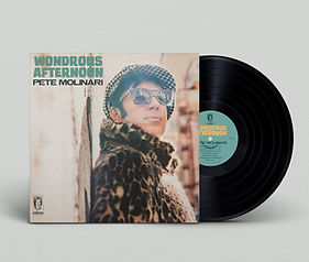 BFR0111 Vinyl Record