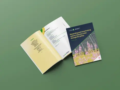 TNC Report