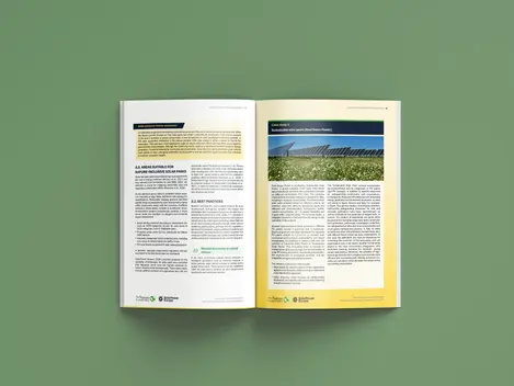 TNC Report