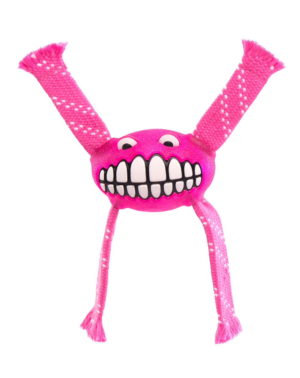 Miniatura: Brinquedo dental Flossy Grinz