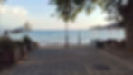 Pink Poppy Flowers