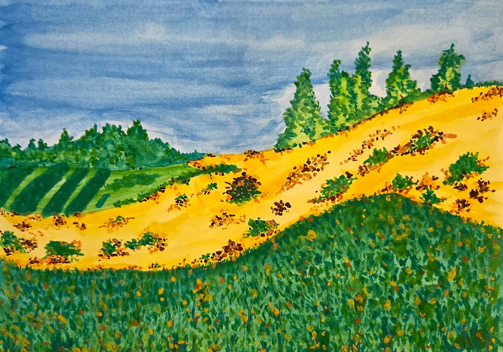 71