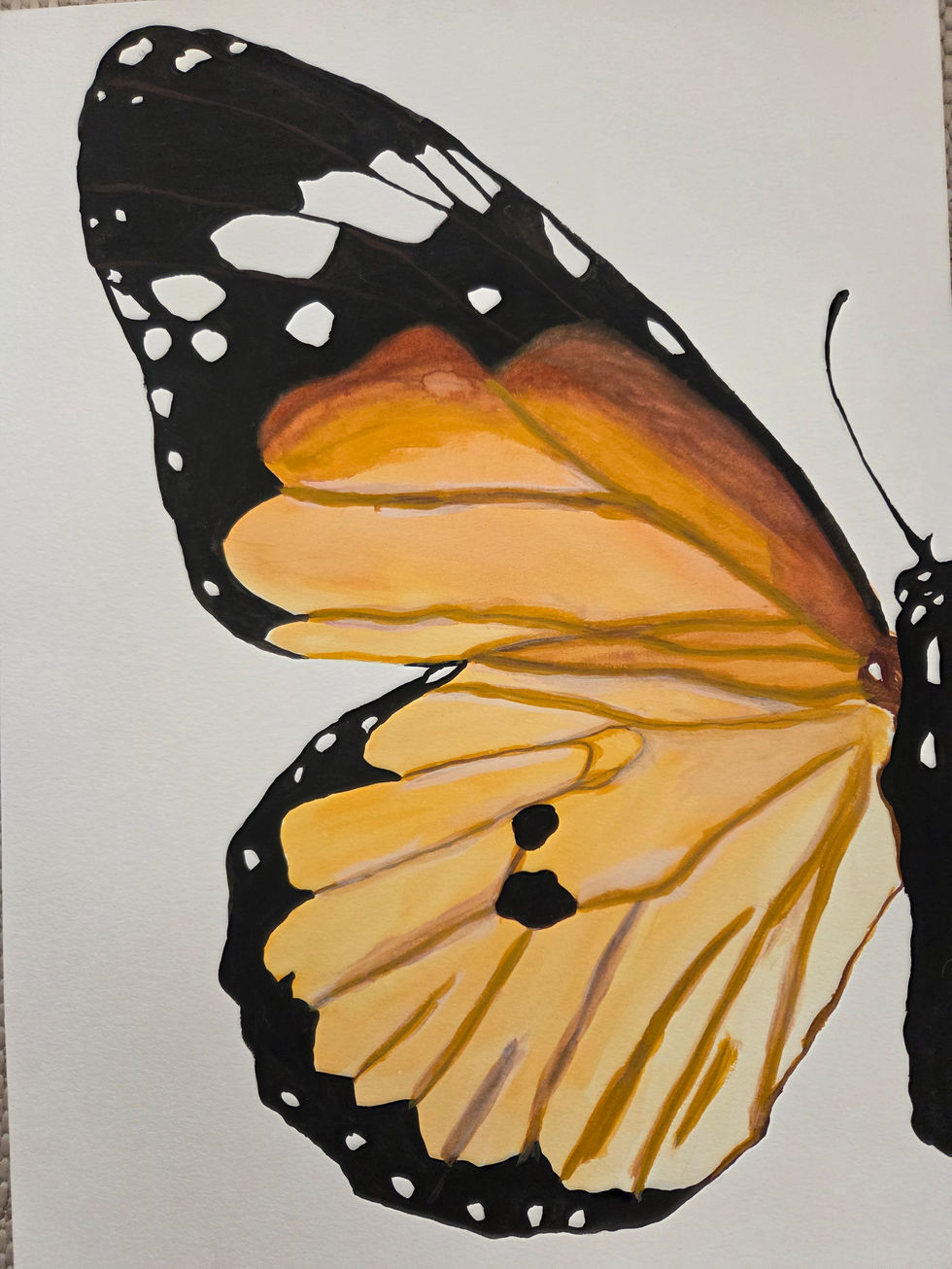 Beatriz Brilhante, Borboleta III , 2025.
Aguarela em papel, 29.7x42cm
