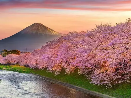 Say It. Do It. Build Real Trust.