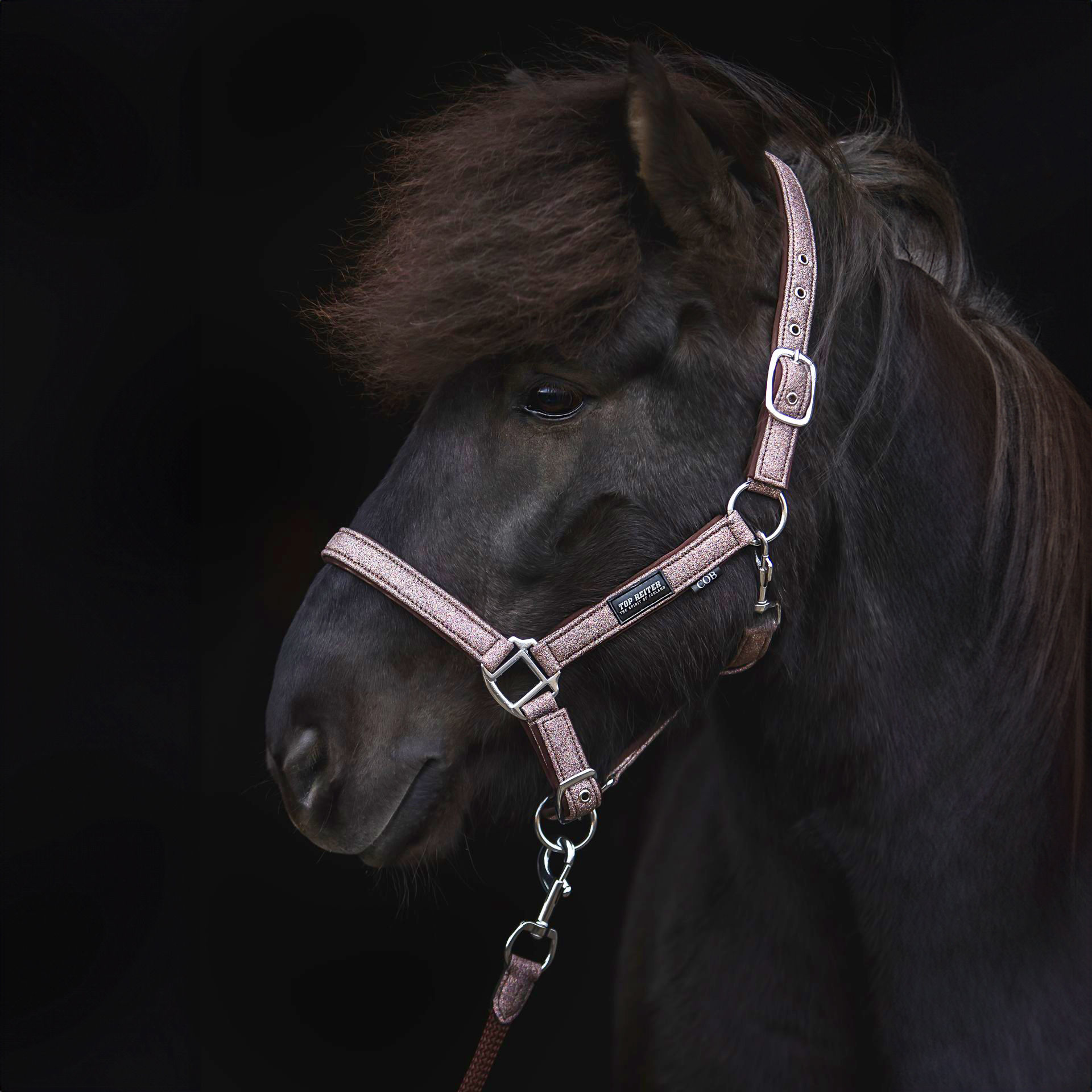 Topreiter Halfterset Glitrandi