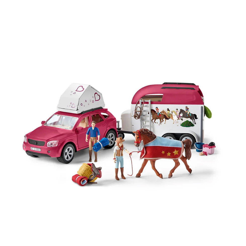 Abenteuer mit Auto und Pferdeanhänger