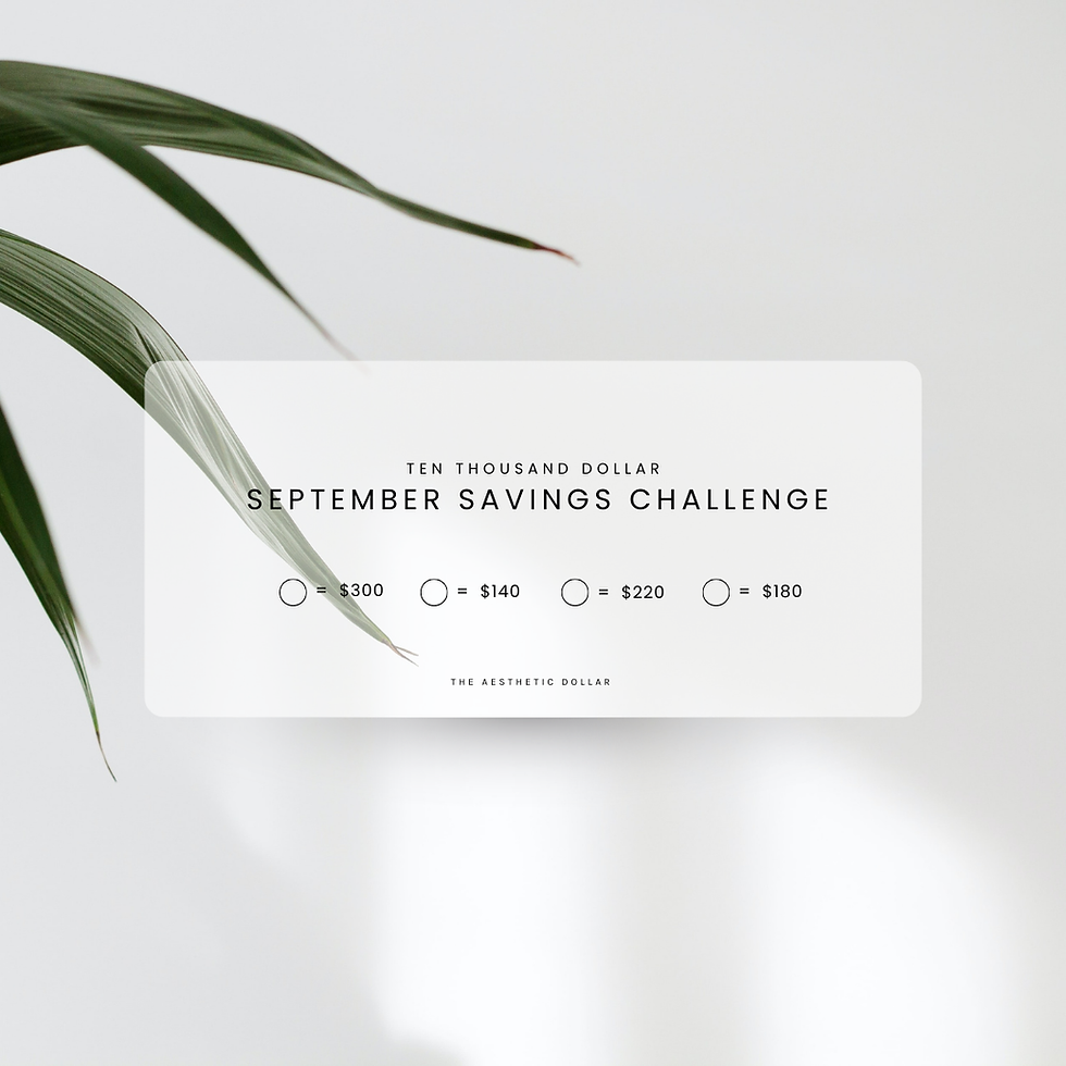 Thumbnail: $10K Monthly Savings Challenge Set