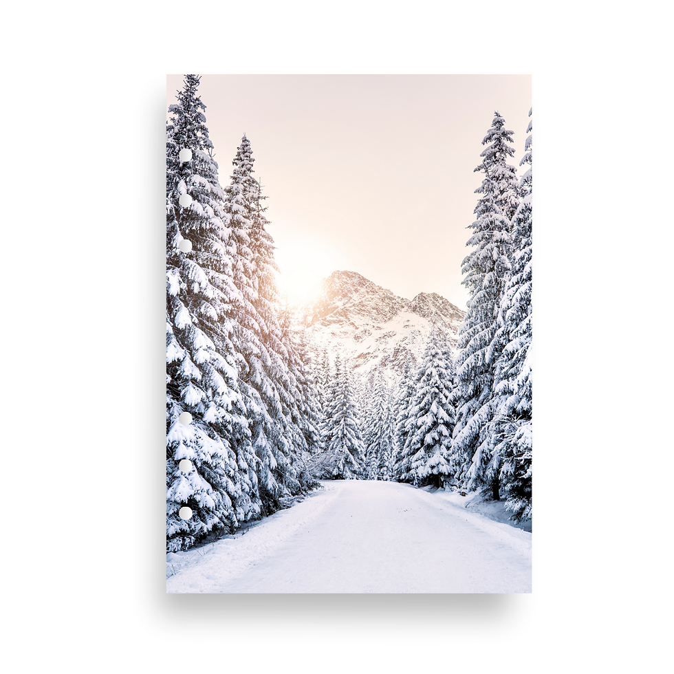 Winter Sunrise Dashboard