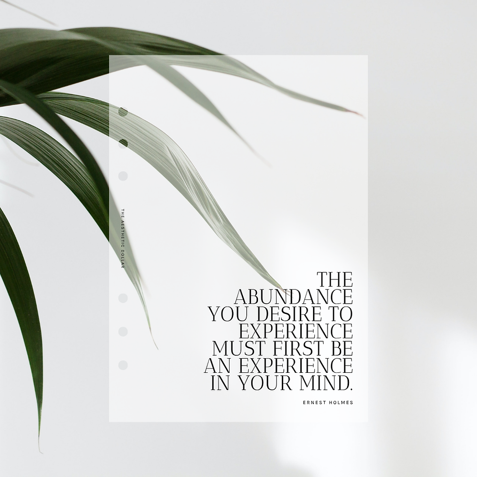 Frosted Experience Dashboard