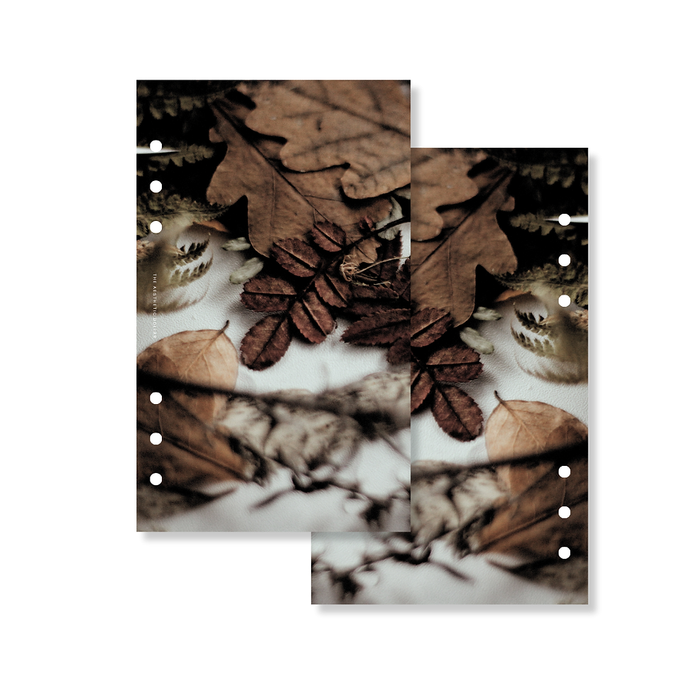 Thumbnail: Fall Leaves Dashboard