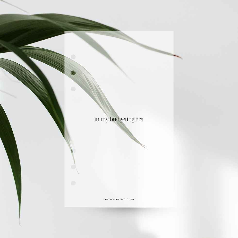 Thumbnail: Budgeting Era Dashboard - Horizontal