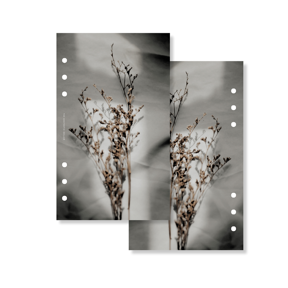 Thumbnail: Caspia Dashboard