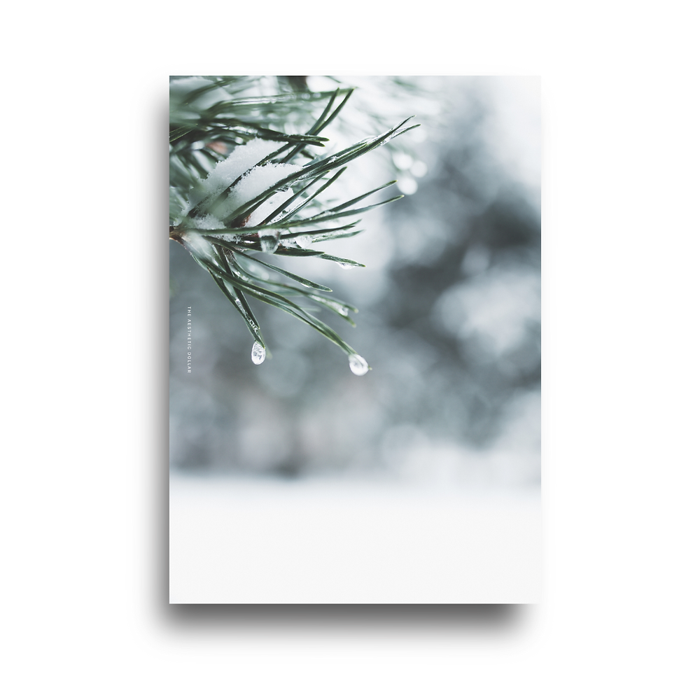 Thumbnail: Winter Morning Dashboard