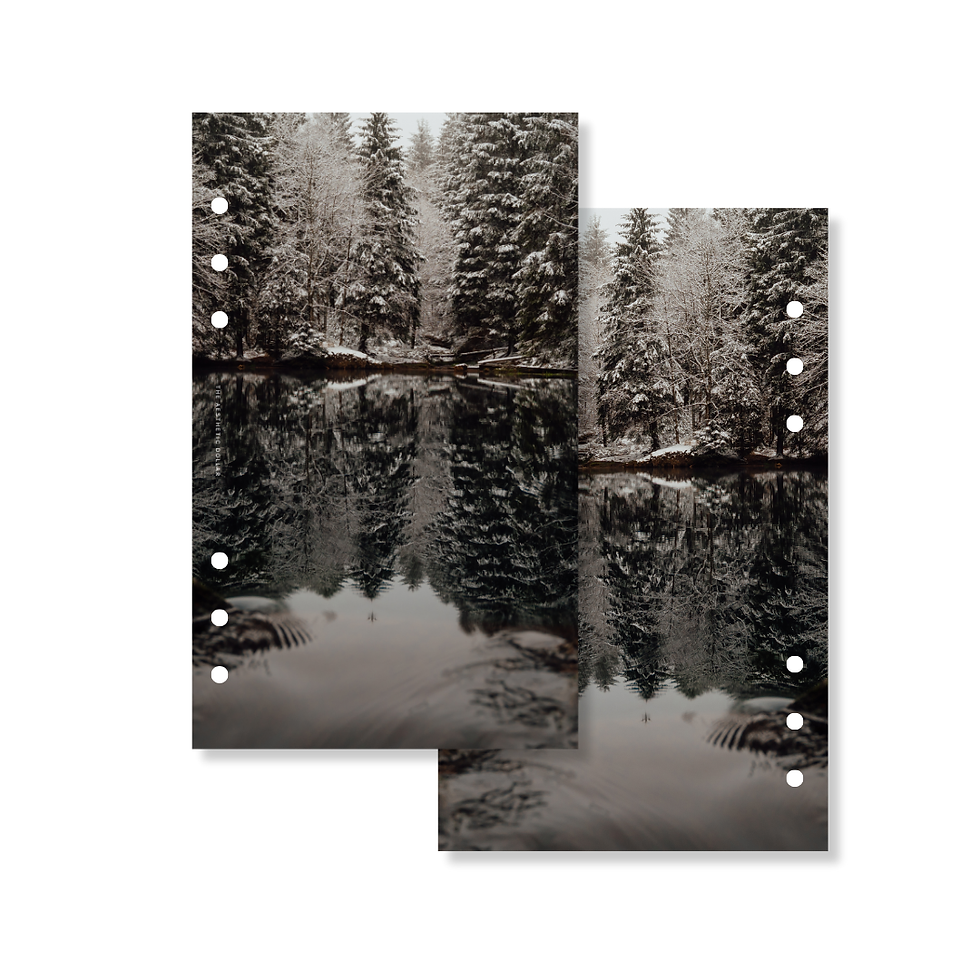 Thumbnail: Reflections Dashboard