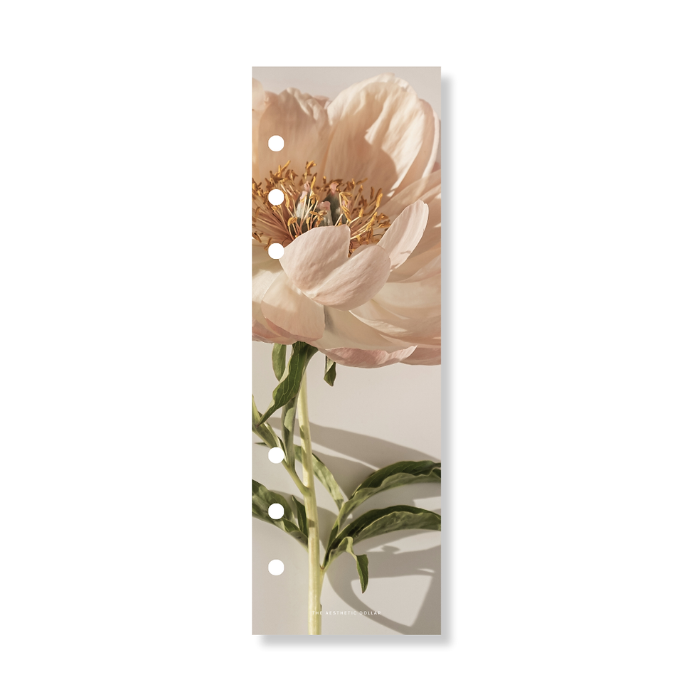 Thumbnail: Petal Mini Dashboard