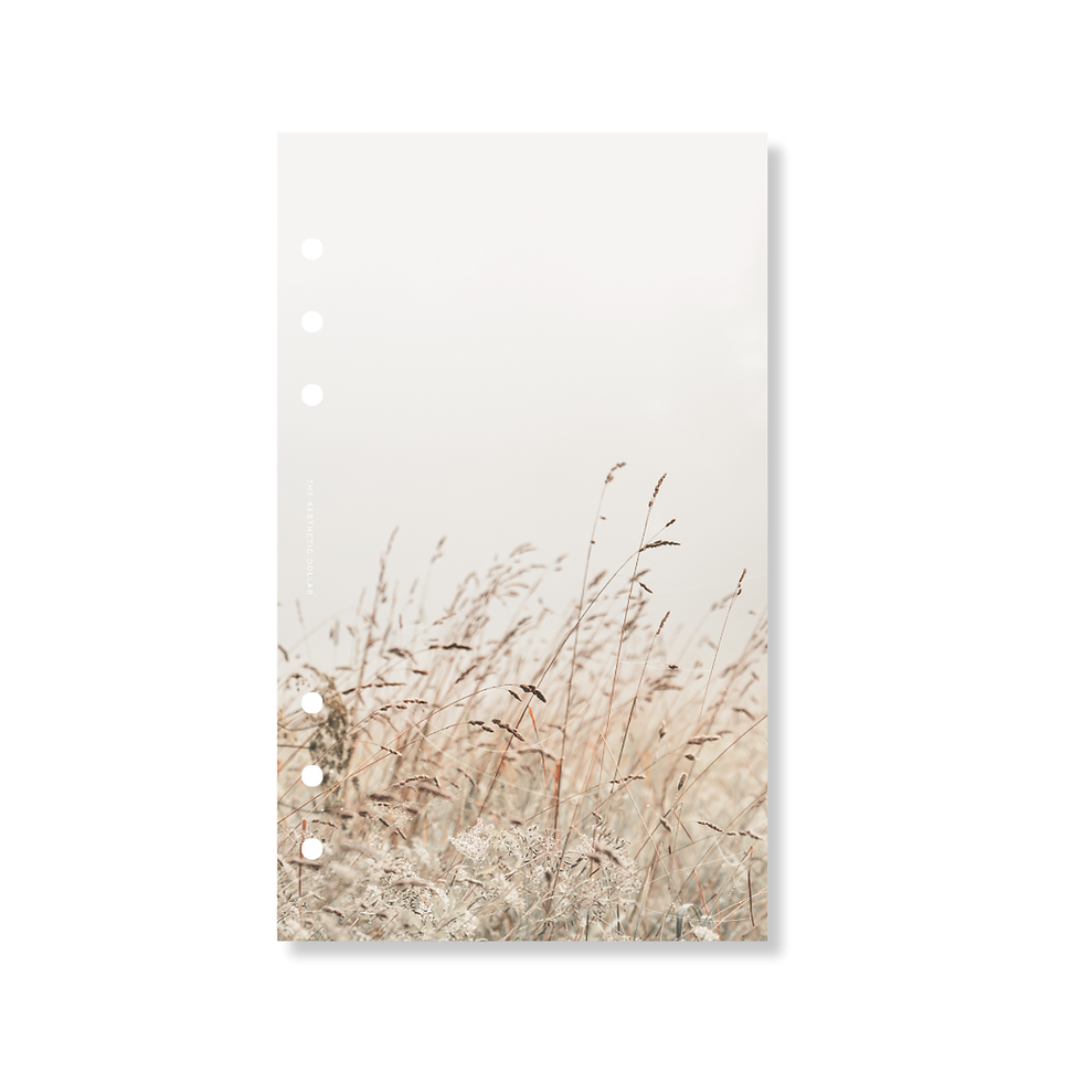 Thumbnail: Harvest Dashboard
