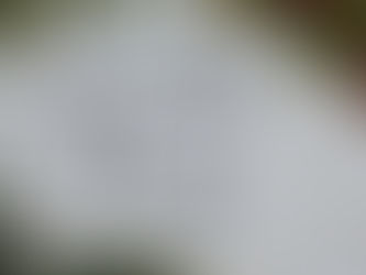 Dinky Rose ChatZ: HolidayZ Ever-Evolving & Being Thankful