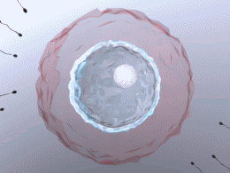 unnamed.gif