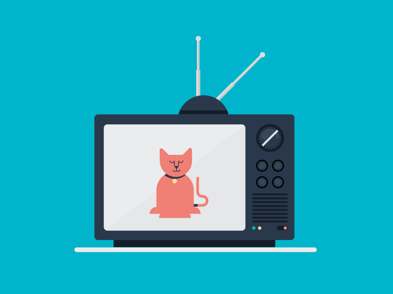 e3106b678b0d99327062454871555a48.gif