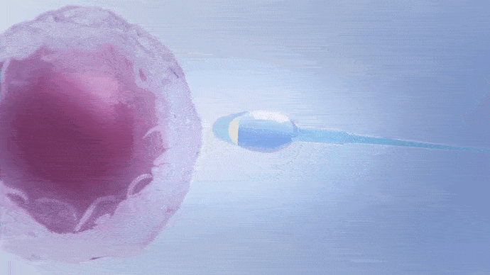Diseño-sin-título-1.gif